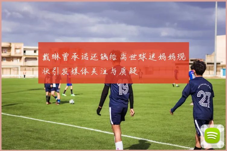 戴琳曾承诺还钱给离世球迷妈妈现状引发媒体关注与质疑
