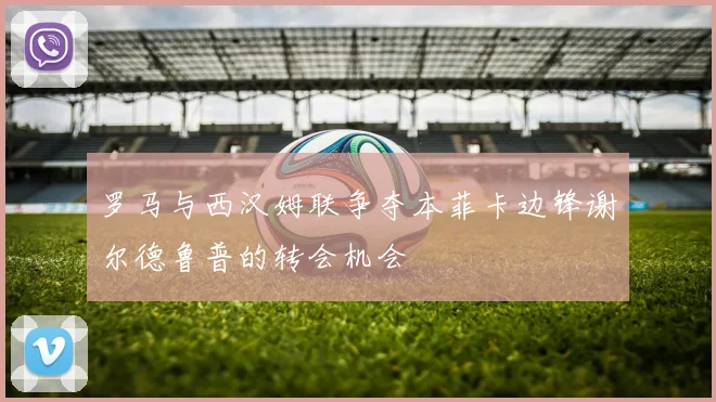 罗马与西汉姆联争夺本菲卡边锋谢尔德鲁普的转会机会