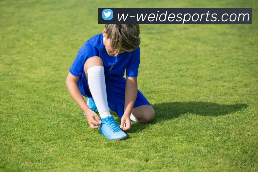 伟德体育平台生态图