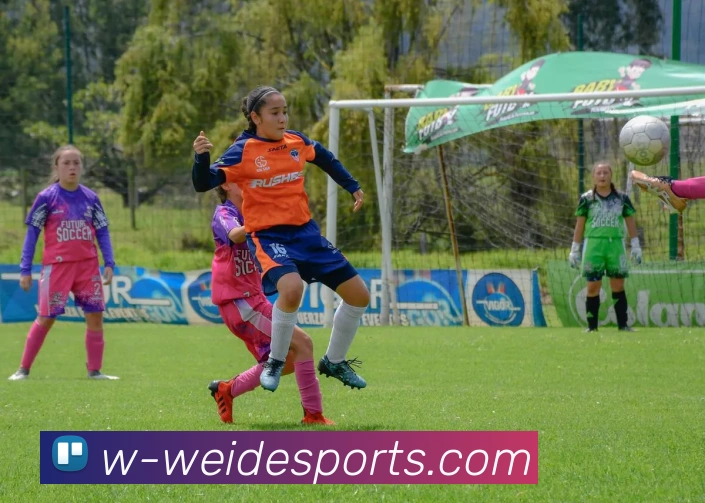 伟德体育APP 封面图